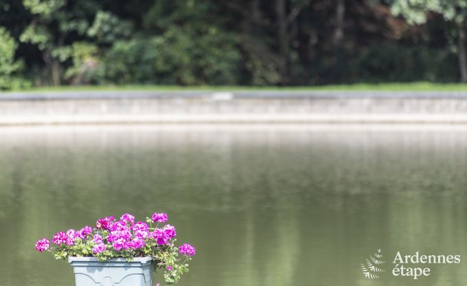 Ferienhaus Somme-Leuze 6/7 Pers. Ardennen