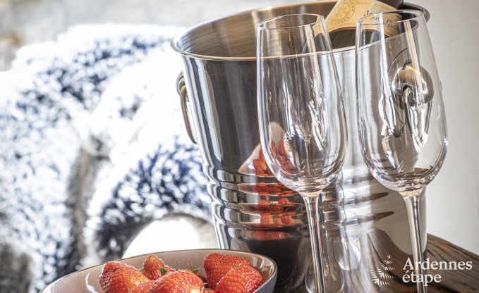 Ferienhaus Somme-Leuze 9 Pers. Ardennen