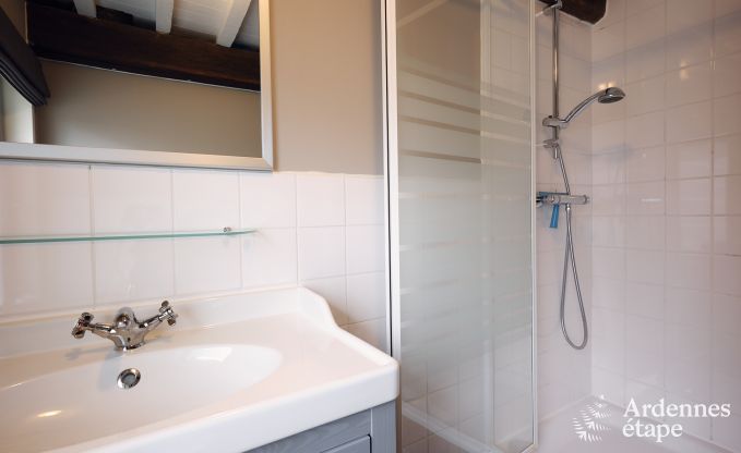 Gem�tliches Ferienhaus mit 3 Schlafzimmern in Somme-Leuze, Ardennen