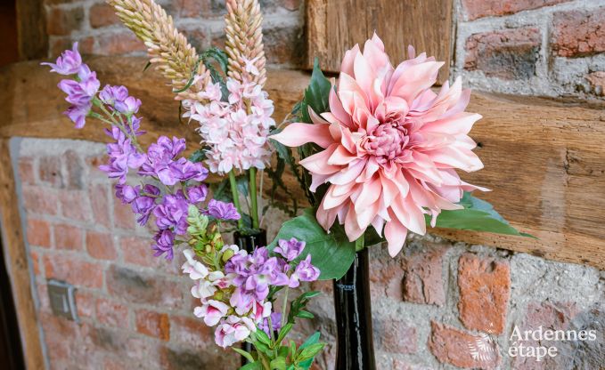 Ferienhaus Somme-Leuze 4 Pers. Ardennen Wellness