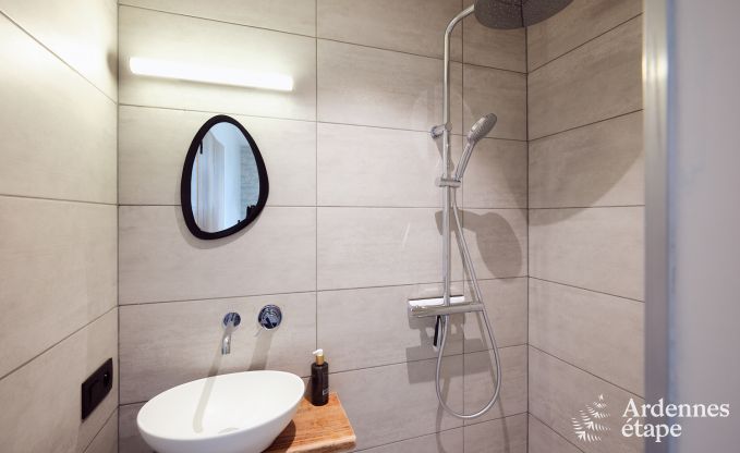 Komfortables und luxuri�ses Neubau-Ferienhaus in Somme-Leuze, Ardennen