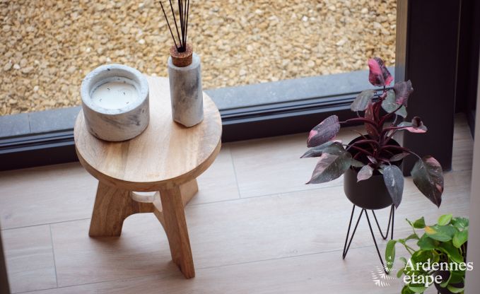 Komfortables und luxuri�ses Neubau-Ferienhaus in Somme-Leuze, Ardennen