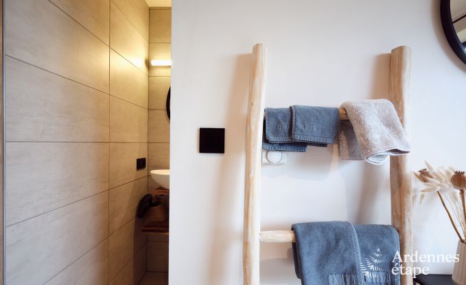 Komfortables und luxuri�ses Neubau-Ferienhaus in Somme-Leuze, Ardennen