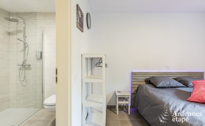 Ferienhaus Somme-Leuze 20 Pers. Ardennen