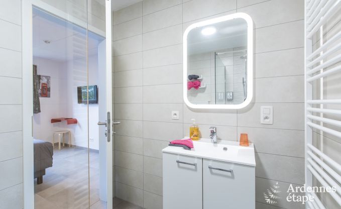 Ferienhaus Somme-Leuze 20 Pers. Ardennen