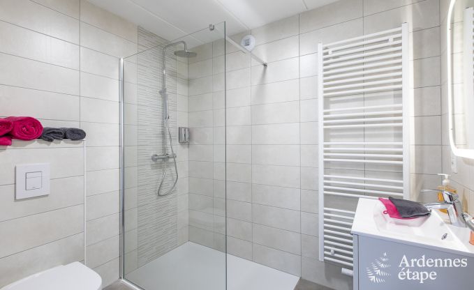 Ferienhaus Somme-Leuze 20 Pers. Ardennen