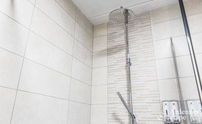 Ferienhaus Somme-Leuze 20 Pers. Ardennen