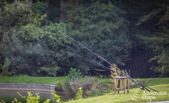 Ferienhaus Somme-Leuze 20 Pers. Ardennen