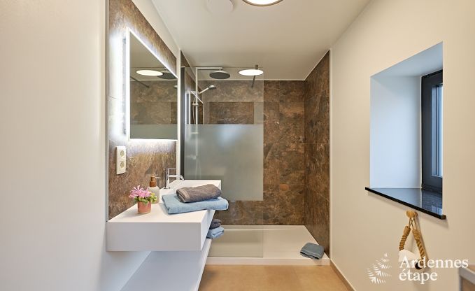 Ultramoderne Villa in Somme-Leuze fr 12 Personen mit Hallenbad, Sauna und Privatgarten