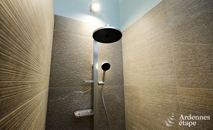 Ultramoderne Villa in Somme-Leuze fr 12 Personen mit Hallenbad, Sauna und Privatgarten