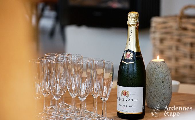 Ultramoderne Villa in Somme-Leuze fr 12 Personen mit Hallenbad, Sauna und Privatgarten