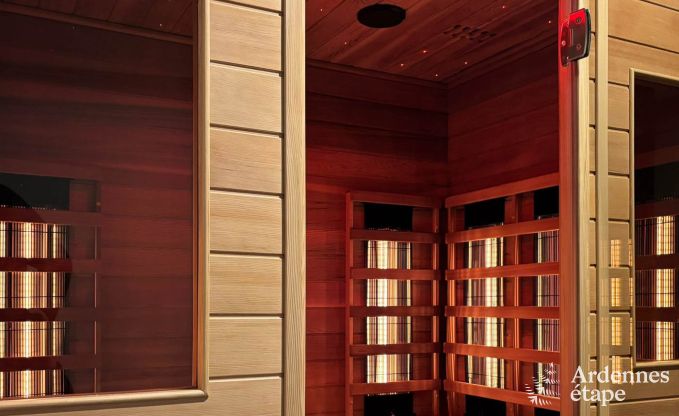 Ultramoderne Villa in Somme-Leuze fr 12 Personen mit Hallenbad, Sauna und Privatgarten