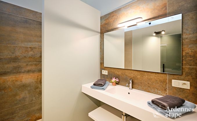 Ultramoderne Villa in Somme-Leuze fr 12 Personen mit Hallenbad, Sauna und Privatgarten