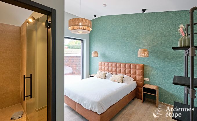 Ultramoderne Villa in Somme-Leuze fr 12 Personen mit Hallenbad, Sauna und Privatgarten