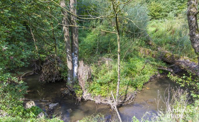Wohnung Somme-Leuze 6 Pers. Ardennen