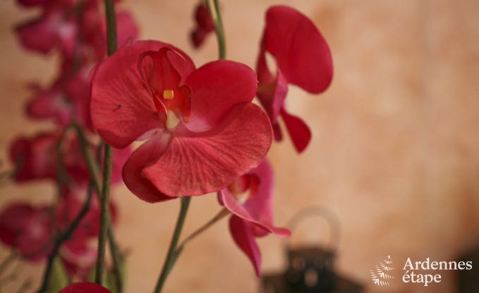 Chalet Sourbrodt 11 Pers. Ardennen Wellness