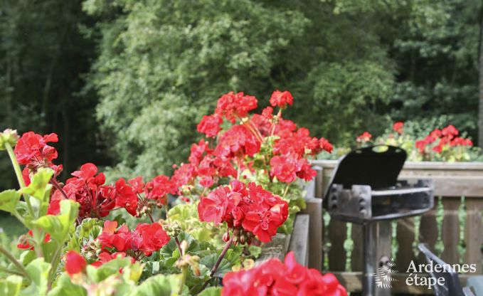 Chalet Sourbrodt 11 Pers. Ardennen Wellness