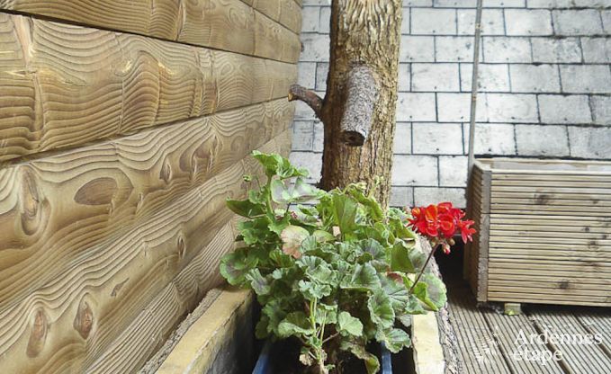 Chalet Sourbrodt 11 Pers. Ardennen Wellness