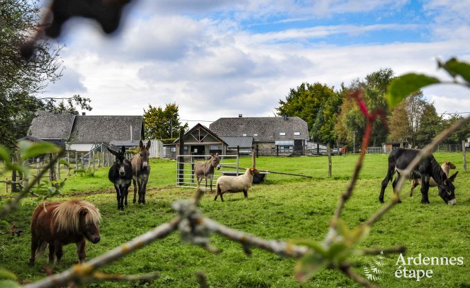 Ferienhaus Sourbrodt 6 Pers. Ardennen