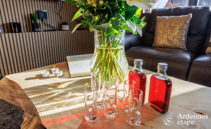 Luxusvilla Spa (Jalhay) 9 Pers. Ardennen Wellness