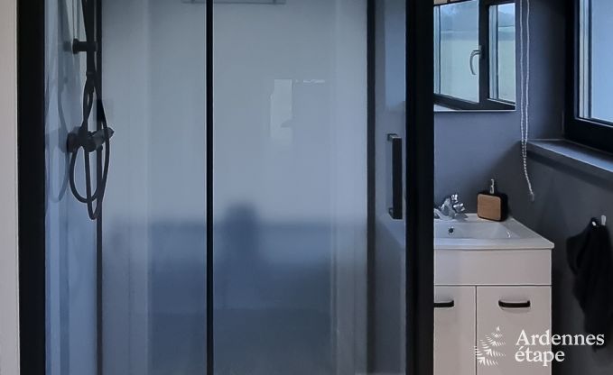 Luxusvilla Spa (Jalhay) 9 Pers. Ardennen Schwimmbad