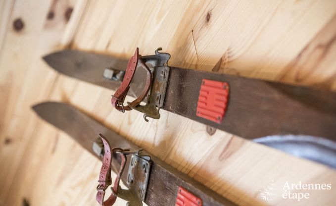 Chalet Spa (Nivez�) 9 Pers. Ardennen Wellness