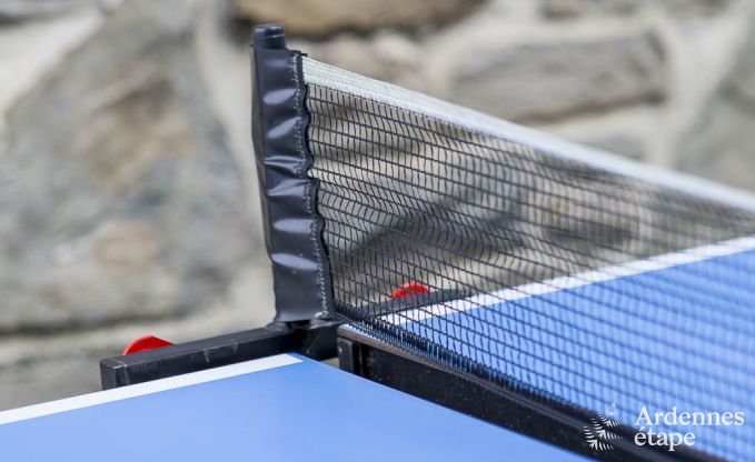 Chalet Spa (Nivez�) 9 Pers. Ardennen Wellness