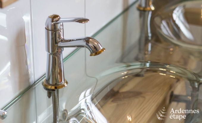 Chalet Spa (Nivez�) 9 Pers. Ardennen Wellness