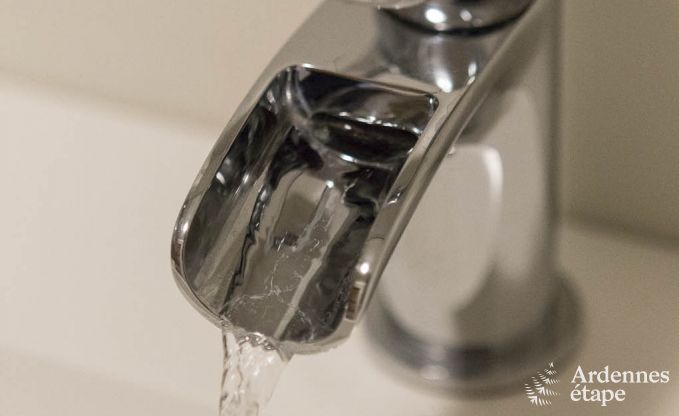 Chalet Spa (Nivez�) 9 Pers. Ardennen Wellness