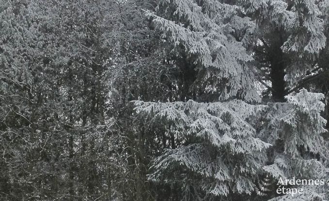 Chalet Spa (Nivez) 9 Pers. Ardennen Wellness