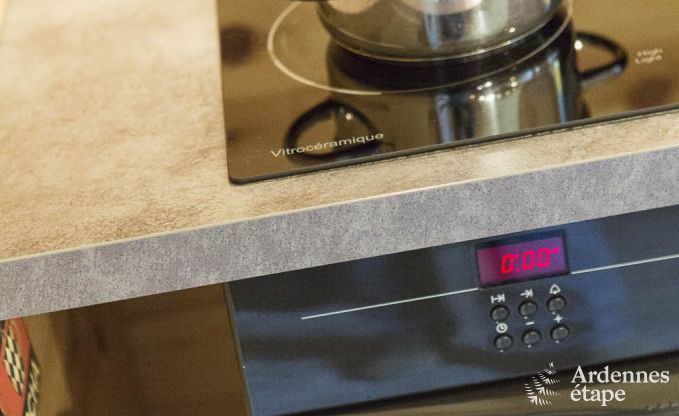 Chalet Spa (Nivez) 9 Pers. Ardennen Wellness