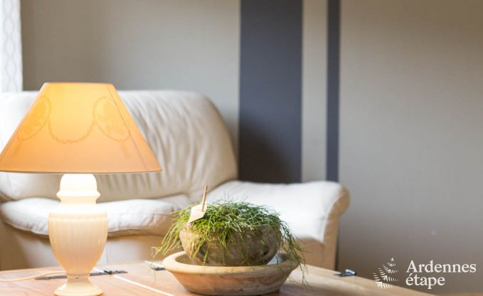 Chalet Spa (Nivez) 9 Pers. Ardennen Wellness