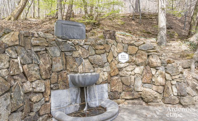 Cottage Spa 6/8 Pers. Ardennen