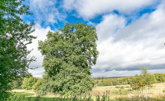 Cottage Spa 14 Pers. Ardennen Wellness Behinderten gerecht