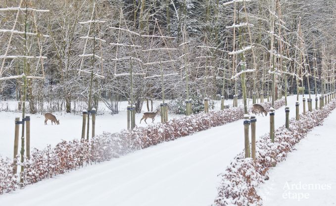 Ferienhaus Spa 28 Pers. Ardennen
