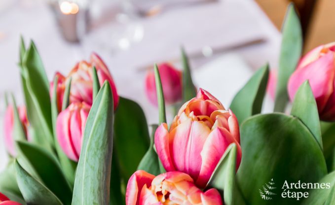 Ferienhaus Spa 9 Pers. Ardennen