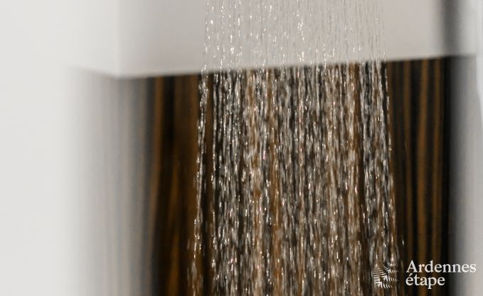 Ferienhaus Spa 9 Pers. Ardennen