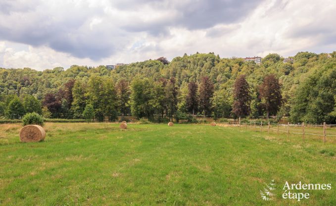 Ferienhaus Spa 9/11 Pers. Ardennen