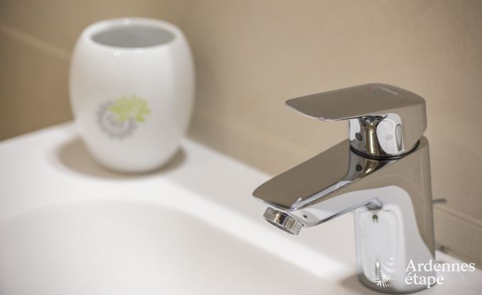 Ferienhaus Spa 9/11 Pers. Ardennen