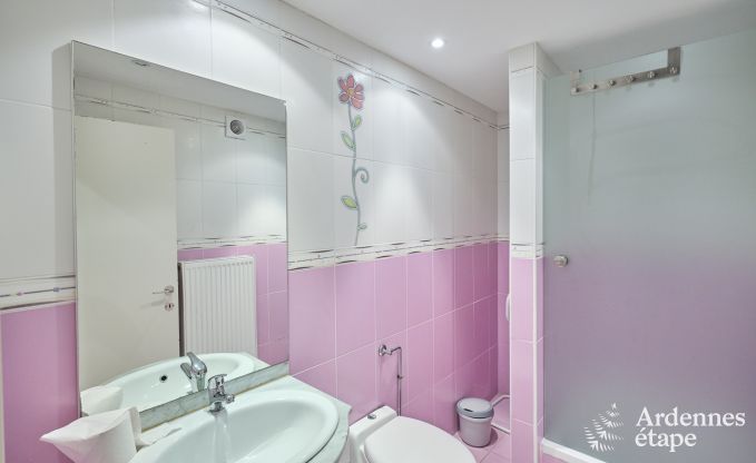 Ferienhaus Spa 20 Pers. Ardennen Schwimmbad Wellness