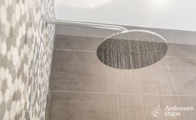 Ferienhaus Spa 12 Pers. Ardennen Wellness