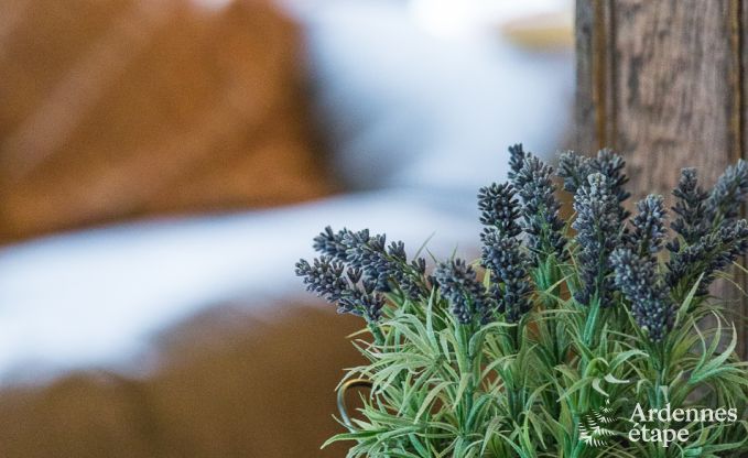 Ferienhaus Spa 20 Pers. Ardennen Wellness