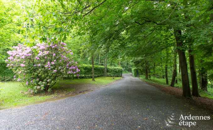 Ferienhaus Spa 20 Pers. Ardennen Wellness