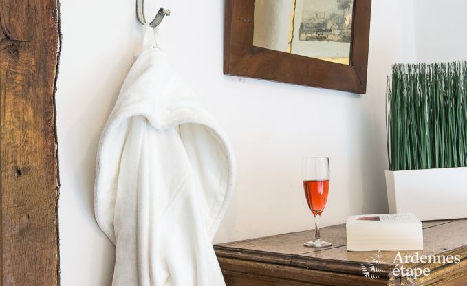 Ferienhaus Spa 20 Pers. Ardennen Wellness