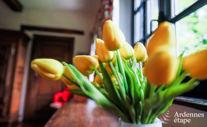 Ferienhaus Spa 20 Pers. Ardennen Wellness