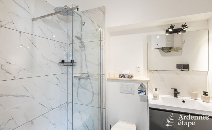 Ferienhaus Spa 12 Pers. Ardennen Wellness