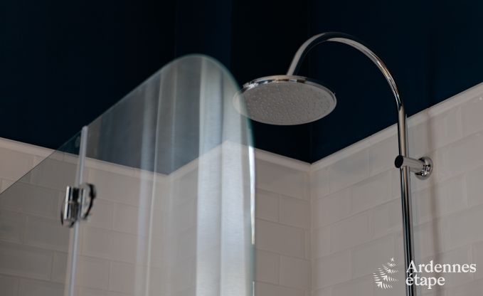 Luxusvilla Spa 9 Pers. Ardennen Wellness