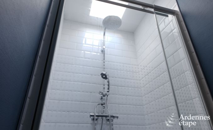 Luxusvilla Spa 9 Pers. Ardennen Wellness