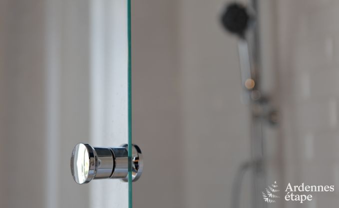 Luxusvilla Spa 9 Pers. Ardennen Wellness