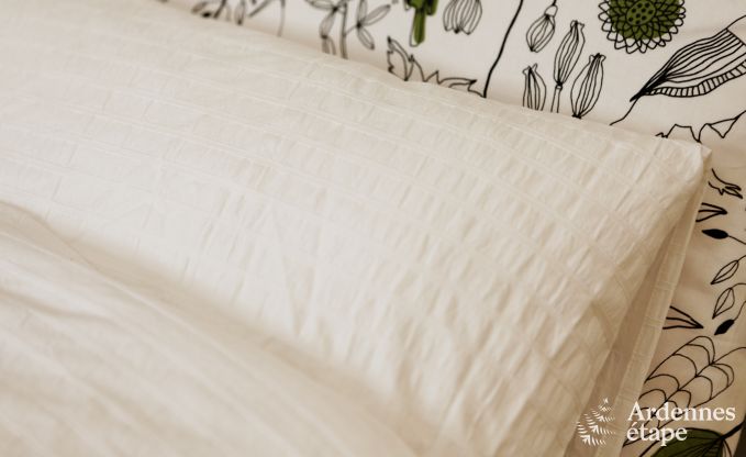 Luxusvilla Spa 9 Pers. Ardennen Wellness